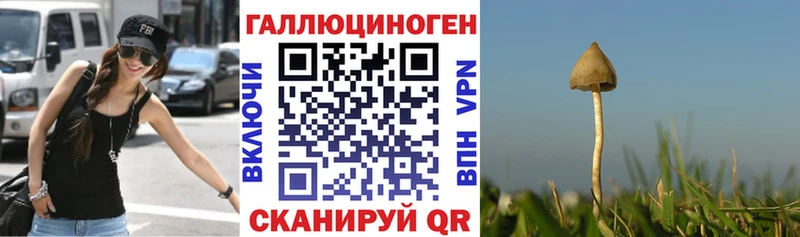 Галлюциногенные грибы мицелий  блэк спрут ССЫЛКА  Магадан 
